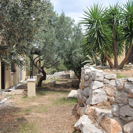 Melolia Estate Thebes Quarto foto