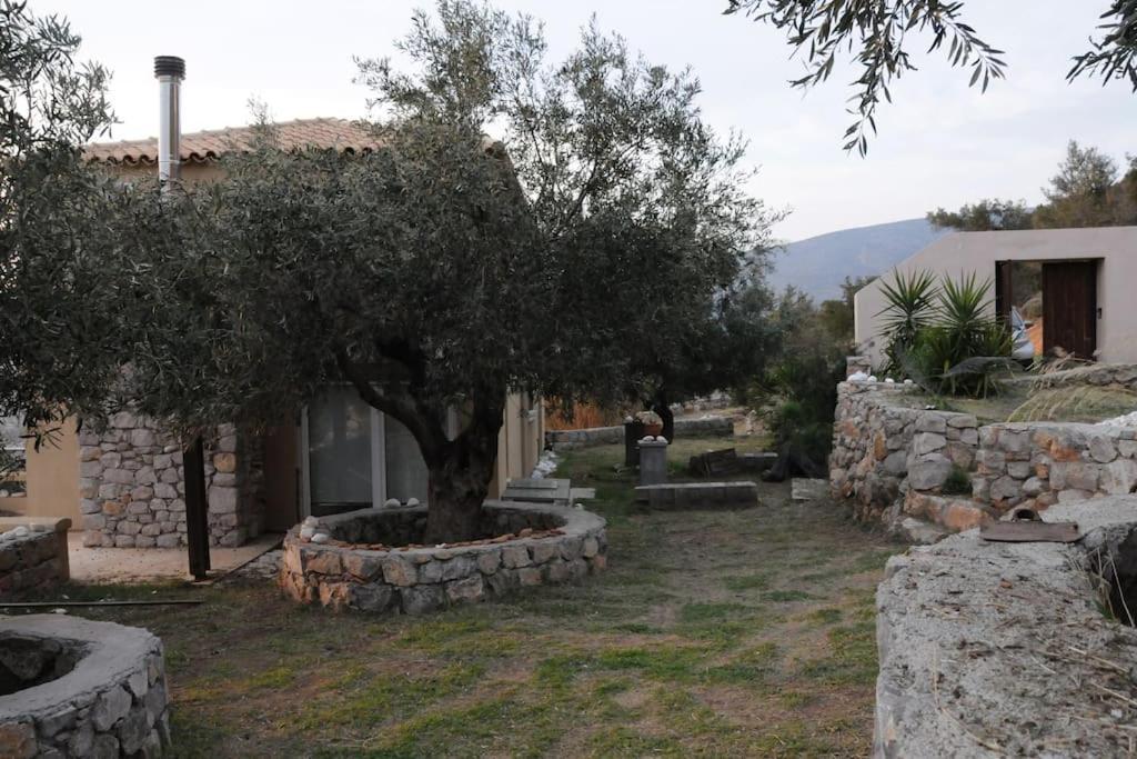 Melolia Estate Thebes Quarto foto